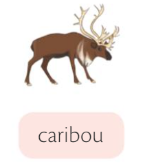 caribou.png